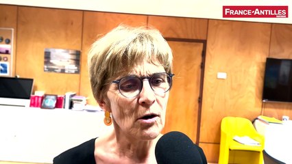 Clarisse Taron - La sanglante « crise de folie » d'une maman à Dillon