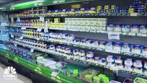 إيرادات شركات الأغذية المدرجة بالبورصة المصرية ترتفع 19% في الربع الثالث