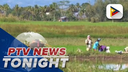 Farmers attest to vital efforts of CFSI to agriculture in Ditsa-an Ramain, Lanao del Sur