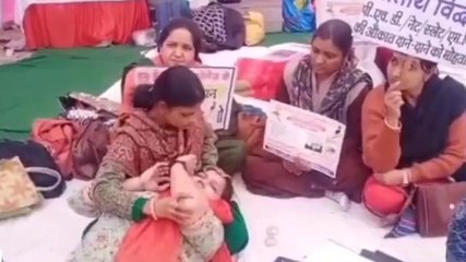 ग्वालियर: अतिथि विद्वानों ने खून से पत्र लिखकर राष्ट्रपति से मांगी इच्छा मृत्यु