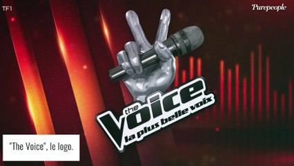 "27 kilos en moins et 5 tailles perdues" : une ex-candidate de The Voice dévoile en image sa transformation