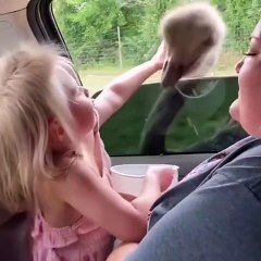 Random Funny Animal Videos#4