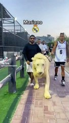 Las peculiares vacaciones de Mariano