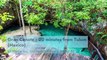 Where to Admire The Most Beautiful Cenotes?