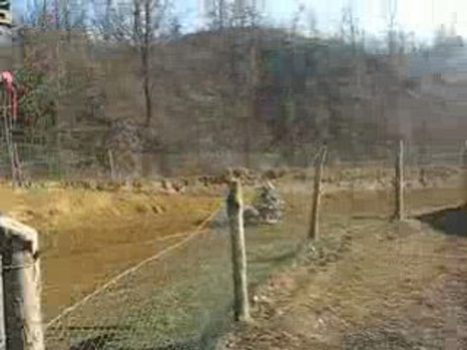MVI_0571