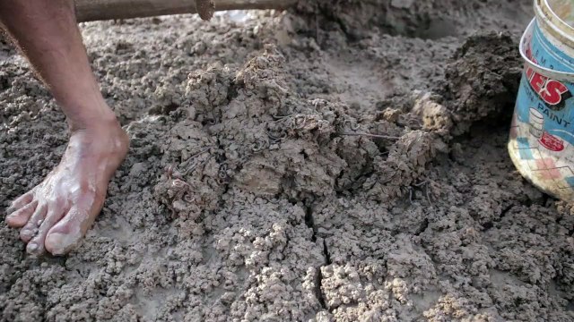 look for beach worms for fishing bait