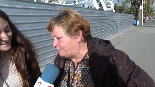 Las aves parientes de los pingüinos llegan en masa a las costas catalanas