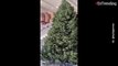 Exótica decoración: Kylie Jenner sorprendió en redes con un enorme árbol de Navidad de dos pisos