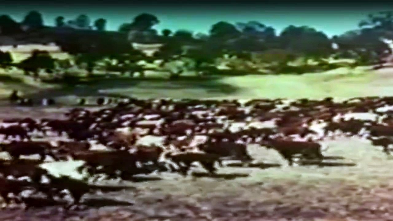 Die Leuteder Shiloh Ranch Staffel 9 Folge 2 - Part 01 HD Deutsch