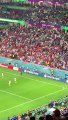 كأس العالم: مشجع يحمل علم فلسطين يقتحم مباراة تونس وفرنسا