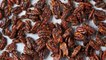 These Candied Pecans Are Impossible To Put Down