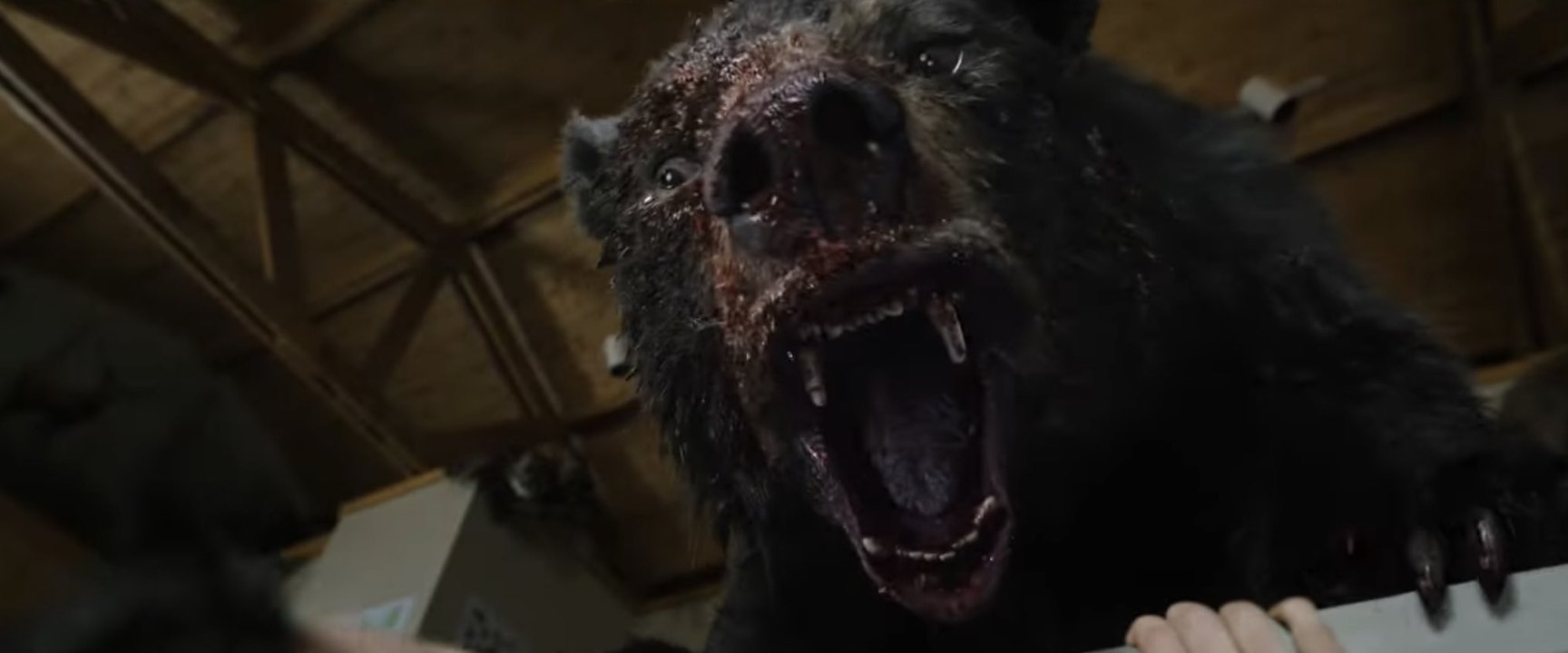 Cocaine Bear - Official Trailer