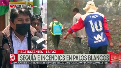 Incendios en los Yungas: El fuego consumió más de 2 mil hectáreas en Palos Blancos 