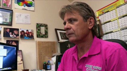 Blue Realm - Shark Nation