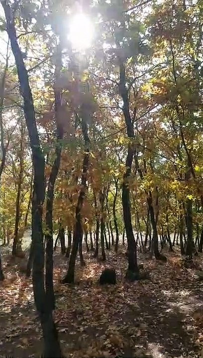 Autumn in turkey