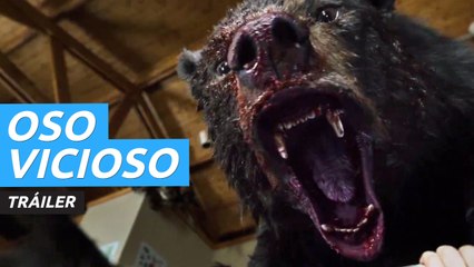 下载视频: Tráiler de Oso vicioso, la delirante comedia de terror inspirada en hechos reales