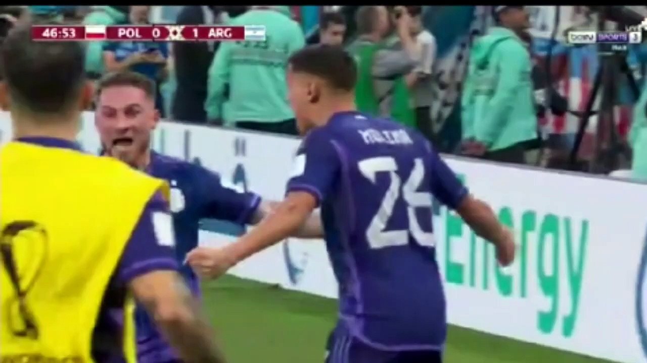 Argentina vs polandia 2022 - poland vs Argentina - highlights - cuplikan gol mac allister alvarez