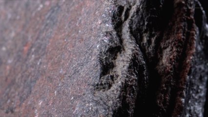 Researchers Discover 2 New Minerals in Massive Meteorite