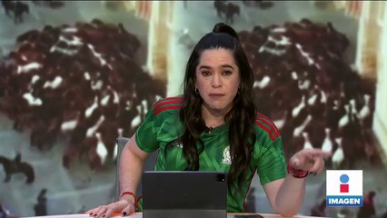 Animales caminan en círculos, ¿qué dice la ciencia?