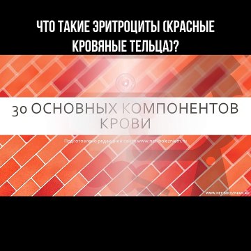 Что такое эритроциты?
