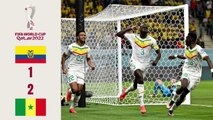 Ecuador vs Senegal - Highlights 2022 FIFA World Cup Match 33 (Group Stage)