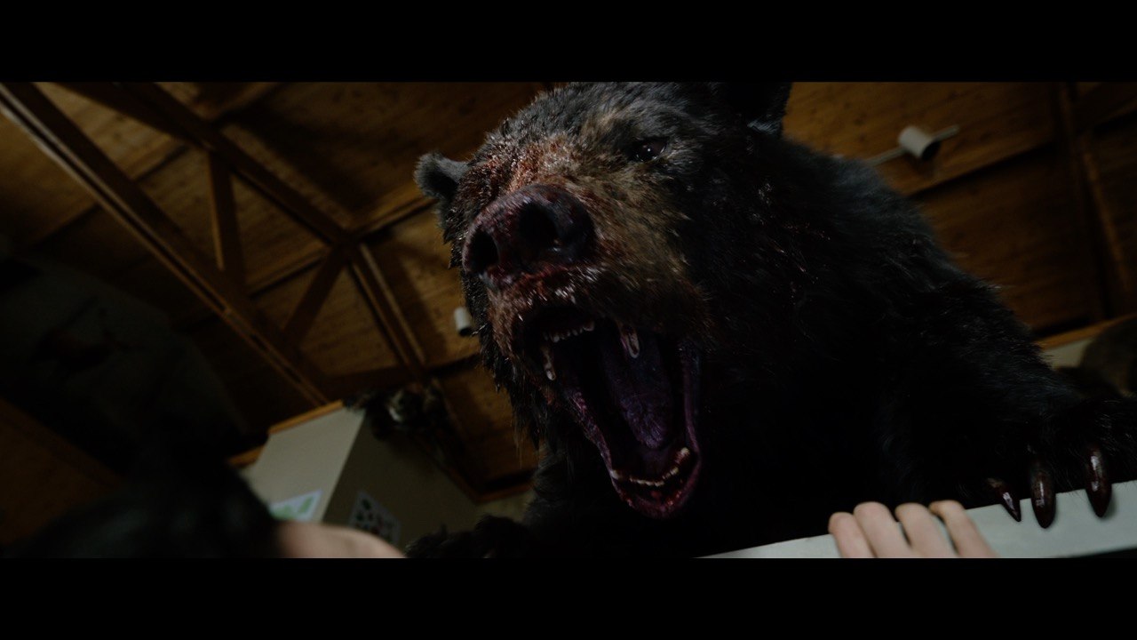 Cocaine Bear Trailer