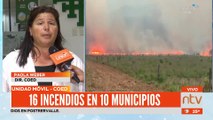 Desde el CED informan que son más 16 incendios en 10 municipios