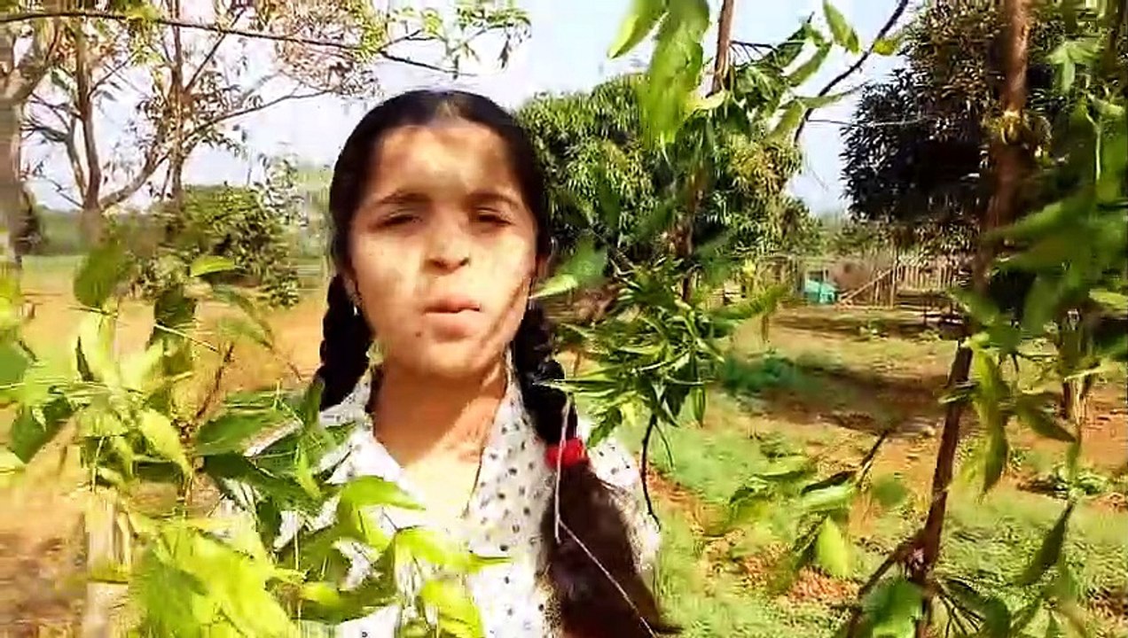 Neem Tree Information & Uses- (In English) @kuberclasses_HD