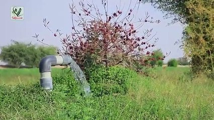 تركوا الخوف وراء ظهورهم.. أهالي قرية يمنية يعودون إلى مساكنهم عقب نزع «مسام» الألغام