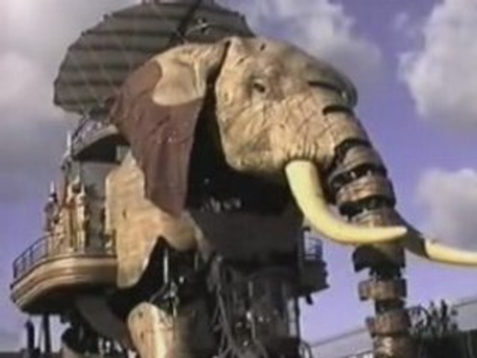 Elephant01