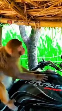 The bakwas tag, The bakwas motivational, The motivational video, Comedy video, Funny jokes video, Song, American comedy, Indian comedy, Comedy, Facebook statusWhatsApp WhatsApp, , All status Instagram status, Bhakti song, Comedian song, New musical song c