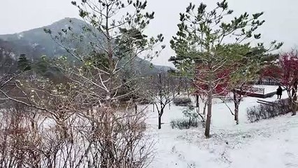 الثلوج تكسو العاصمة الكورية الجنوبية سيول