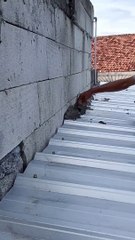 Tips for dealing with leaks at home