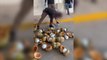 Mexican police find 300kg of fentanyl pills hidden in coconuts on highway