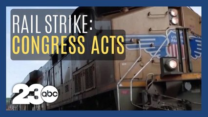House of Representative takes action to avert a rail workers' strike
