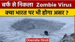 Zombie Virus: जानिए क्या है बर्फ से निकला Zombie Virus, भारत पर भी होगा असर?| वनइंडिया हिंदी |*News