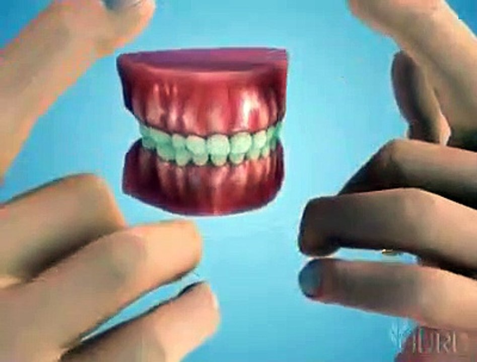 The Right Flossing Technique