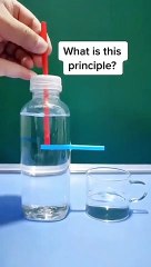 What do you call this principle #shorts #viral #shortsvideo #video #innovationhub