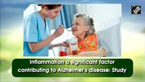 Inflammation a significant factor contributing to Alzheimer's disease: Study