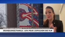 Sabrina Agresti-Roubache : «Les Français ne supportent plus ces parents qui ne s’occupent pas de leurs enfants»