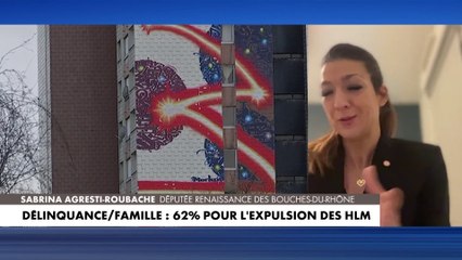 Download Video: Sabrina Agresti-Roubache : «Les Français ne supportent plus ces parents qui ne s’occupent pas de leurs enfants»