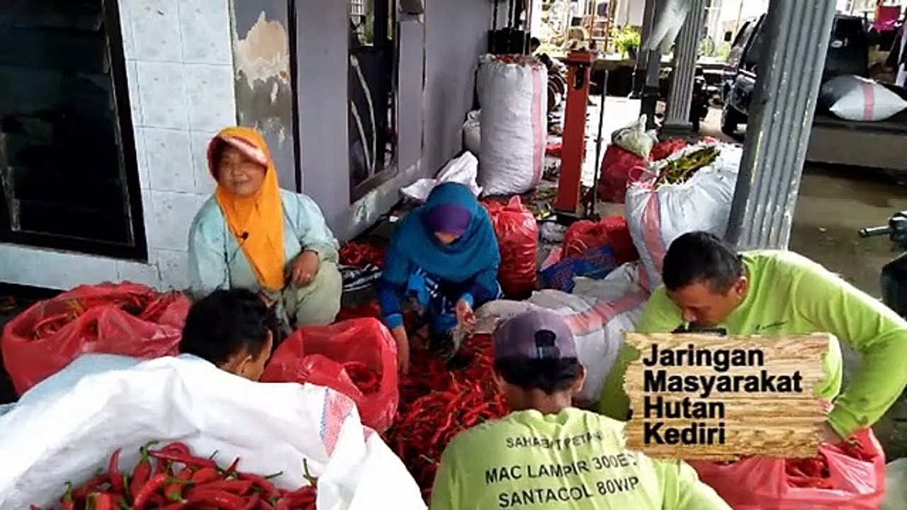 Jumirah: Mengapa Memilih Jokowi? Beliau Menyejahterakan Rakyat Kecil