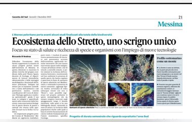 Rassegna stampa 1-12-22