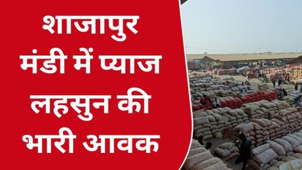 शाजापुर :तीन रुपए किलो बिक रहा है प्याज़ ,किसान बोले लागत भी नहीं निकल रही