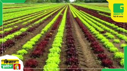 Kisan Bulletin - केंद्र सरकार ने किसानों के विकास के लिए तैयार किया बागवानी क्लस्टर विकास कार्यक्रम | AEI (Dec) 2022