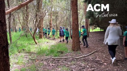 Riana Primary School's outdoor learning | December 1 2022 | The Advocate