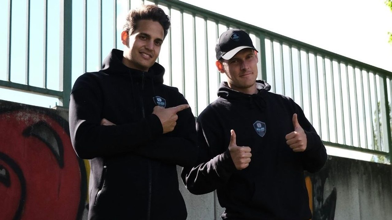 Darauf achten Scouts beim Freilaufverhalten