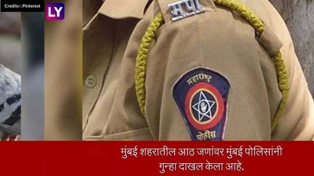 ऐकावे ते नवलच! Mumbai मध्ये चिकन म्हणून हॉटेल आणि बिअर बारला विकले चक्क कबुतरांचे मांस, आरोपींविरुद्ध गुन्हा दाखल