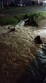 Chuva afeta adutora e prejudica abastecimento de água na Grande Florianópolis