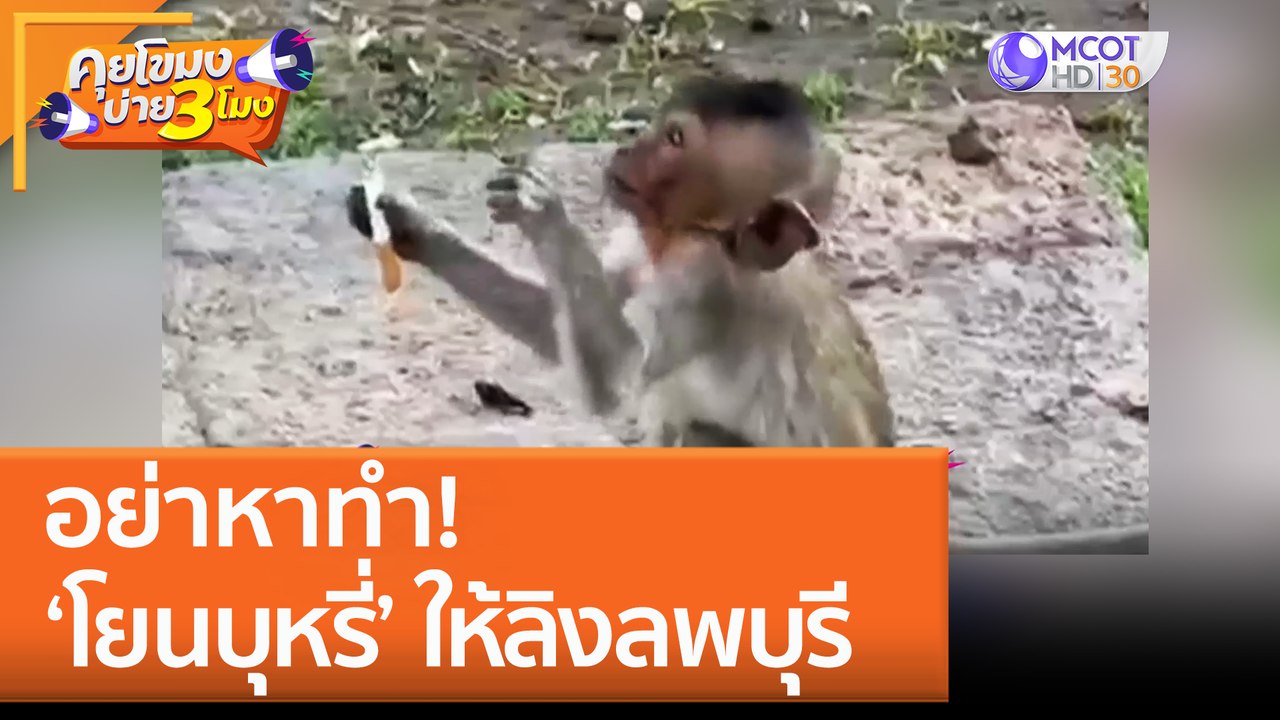 อย่าหาทำ! ‘โยนบุหรี่’ ให้ลิงลพบุรี (1 ธ.ค. 65)...